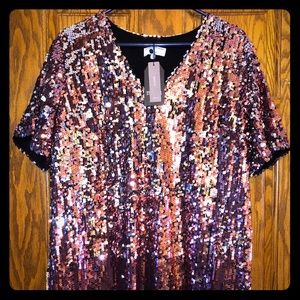 Sequin Dress J. Crew